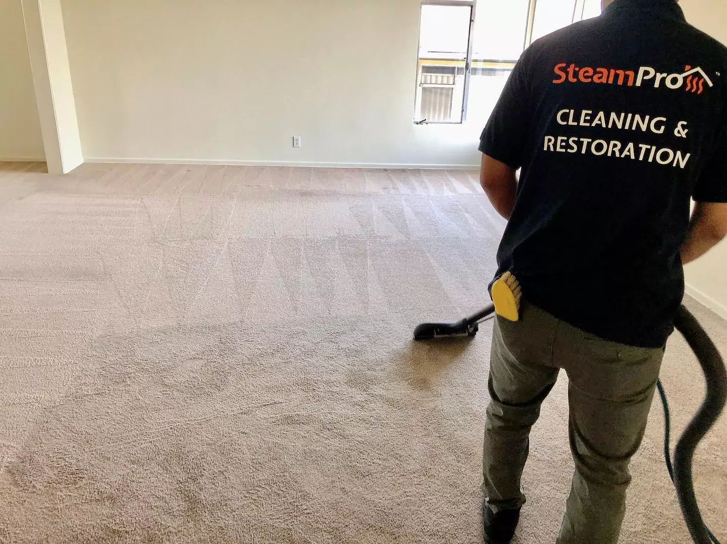 Professional-Carpet-Cleaning.webp